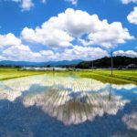 忘れられない光景