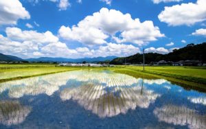 忘れられない光景