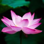素直な気持ちを言って良かったです