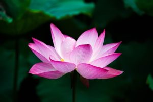 素直な気持ちを言って良かったです