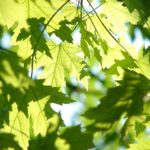 心にある何かを出し切った先にあるもの
