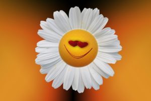 楽しく話していたら解決しちゃう場所