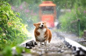 やりたいことは言葉にしたら、すぐに行動したくなります。そのためにはコーチングが有効です。