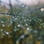 コーチングってどういう時に受けることが一番効果的なのでしょうか？