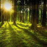 行動を加速させる秘訣は、朝にあり！