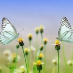 わたしが「そのままの私でよかった」と気づいた訳