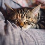 人生初めての4時半起き