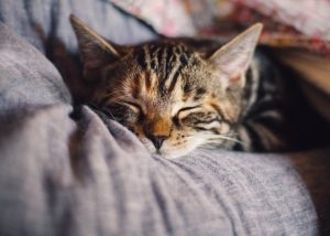 人生初めての4時半起き