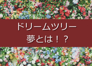 【ドリームツリー】夢の定義