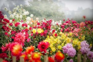楽しいならば、ケガするまで。