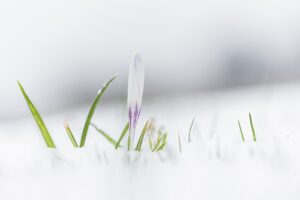 どうなったら生きている実感が湧きますか？
