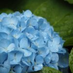 幸せ度がアップする方法＝どんな時に充実感や充足感を感じるのかを知り、その時間を増やすこと