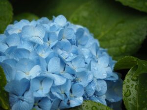幸せ度がアップする方法=どんな時に充実感や充足感を感じるのかを知り、その時間を増やすこと